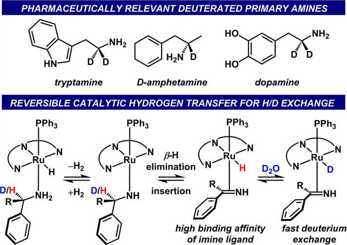 Fig.1 Select deuterated bioactive primary amines (top). Conceptual development of stereoretentive H/D exchange using hydrogen transfer (bottom).