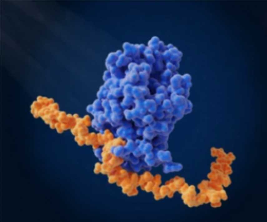 Heavy Heparin Based on DCL™