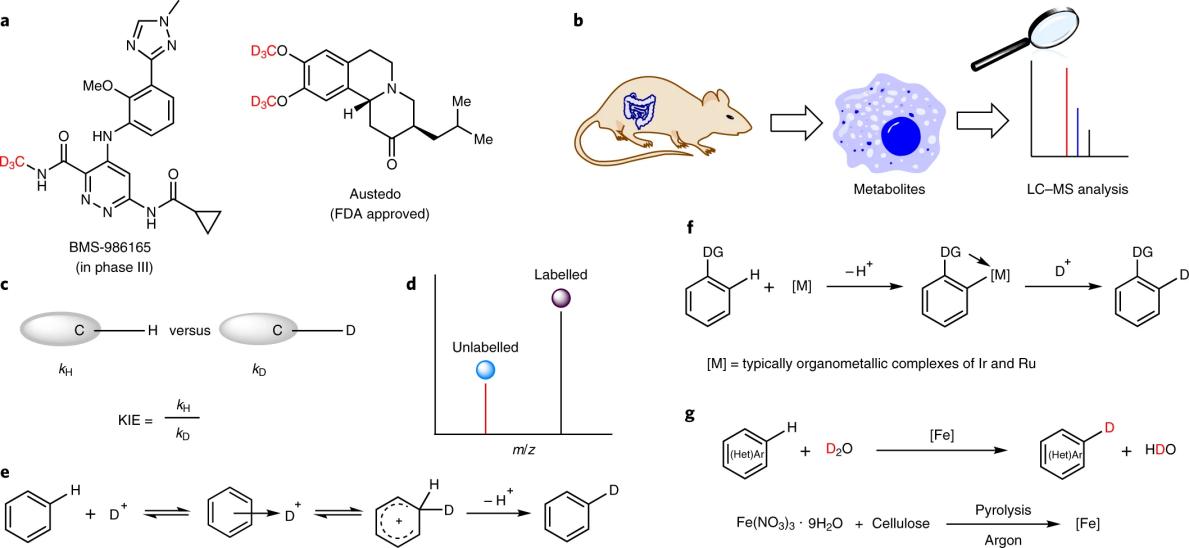 Fig.1 Applications of deuteration and methods for H/D exchange.