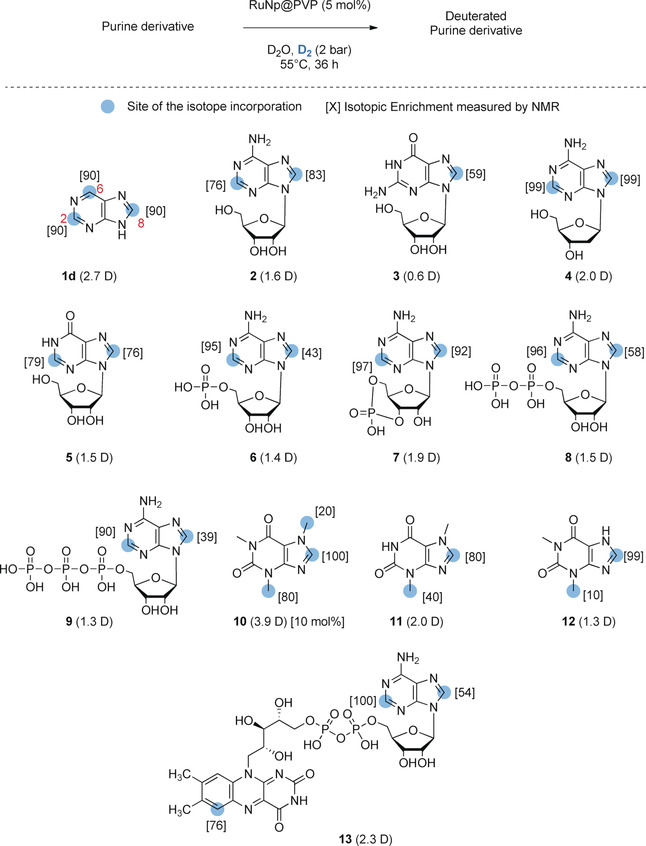 Fig.1 RuNp-catalyzed deuterium labelling of representative purine derivatives.