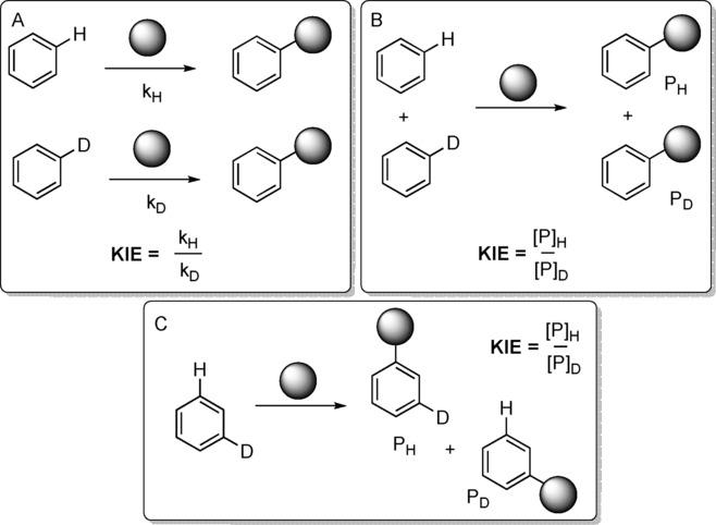 Fig.1 Complementary deuterium KIE experiments.