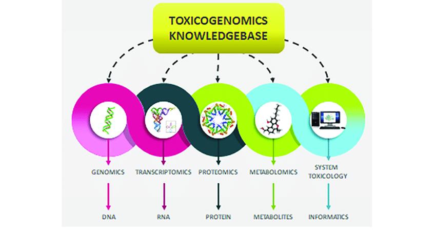 Fig.1 Schematic diagram showing flow of toxicogenomics knowledgebase.