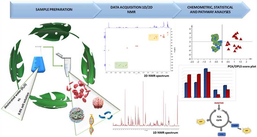 Fig.1 NMR spectroscopy as a “green analytical method” in metabolomics and proteomics studies.