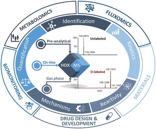 Fig.1 The different faces of HDX mass spectrometry.