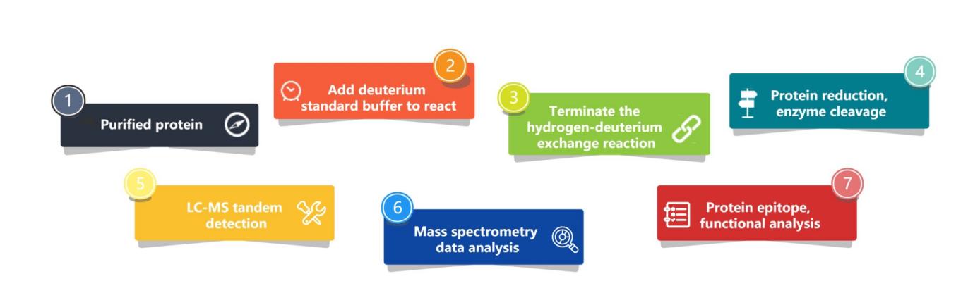 Small Molecule Analysis by HDX MS