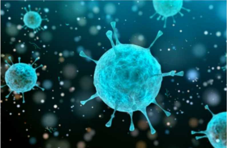 Structural Analysis of Viruses by HDX MS