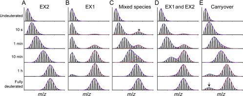 Fig.1 Examples of different exchange behaviors during HDX-MS.