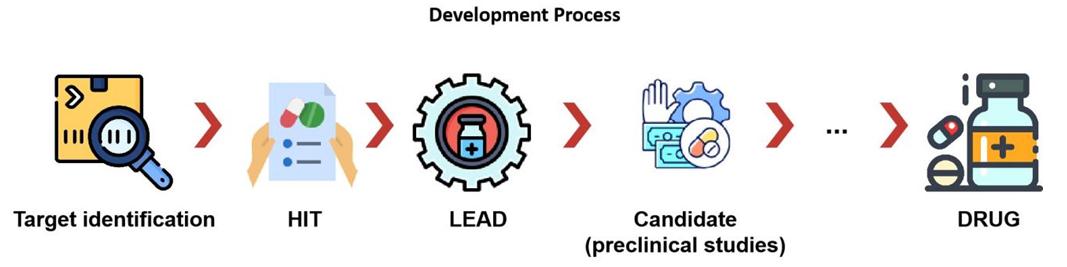 Development Process