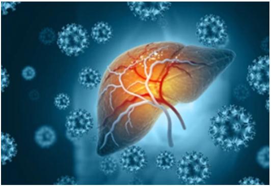 Metabolic Disease Therapies Based on DCL™