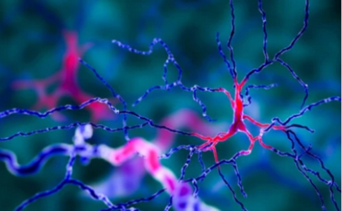 Neurodegenerative Disease Therapies Based on DCL™