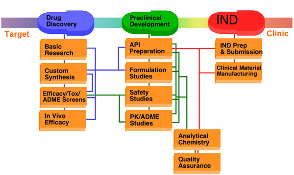 Fig.1 Preclinical drug development stages.